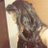 Dely Maria Maturana