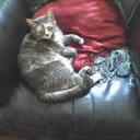 Joetta King - @Queen2King - Twitter