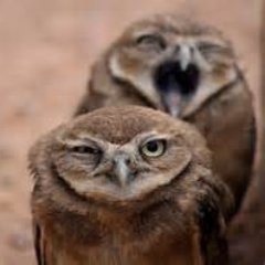 Inconformista, obsesivo, competitivo. En un proceso constante de aprendizaje. O te comes la vida, o la vida te come a ti.