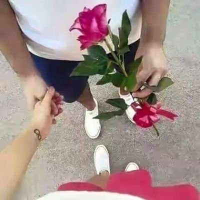 dk801529's profile picture. 