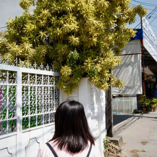 aiwenshao210's profile picture. 