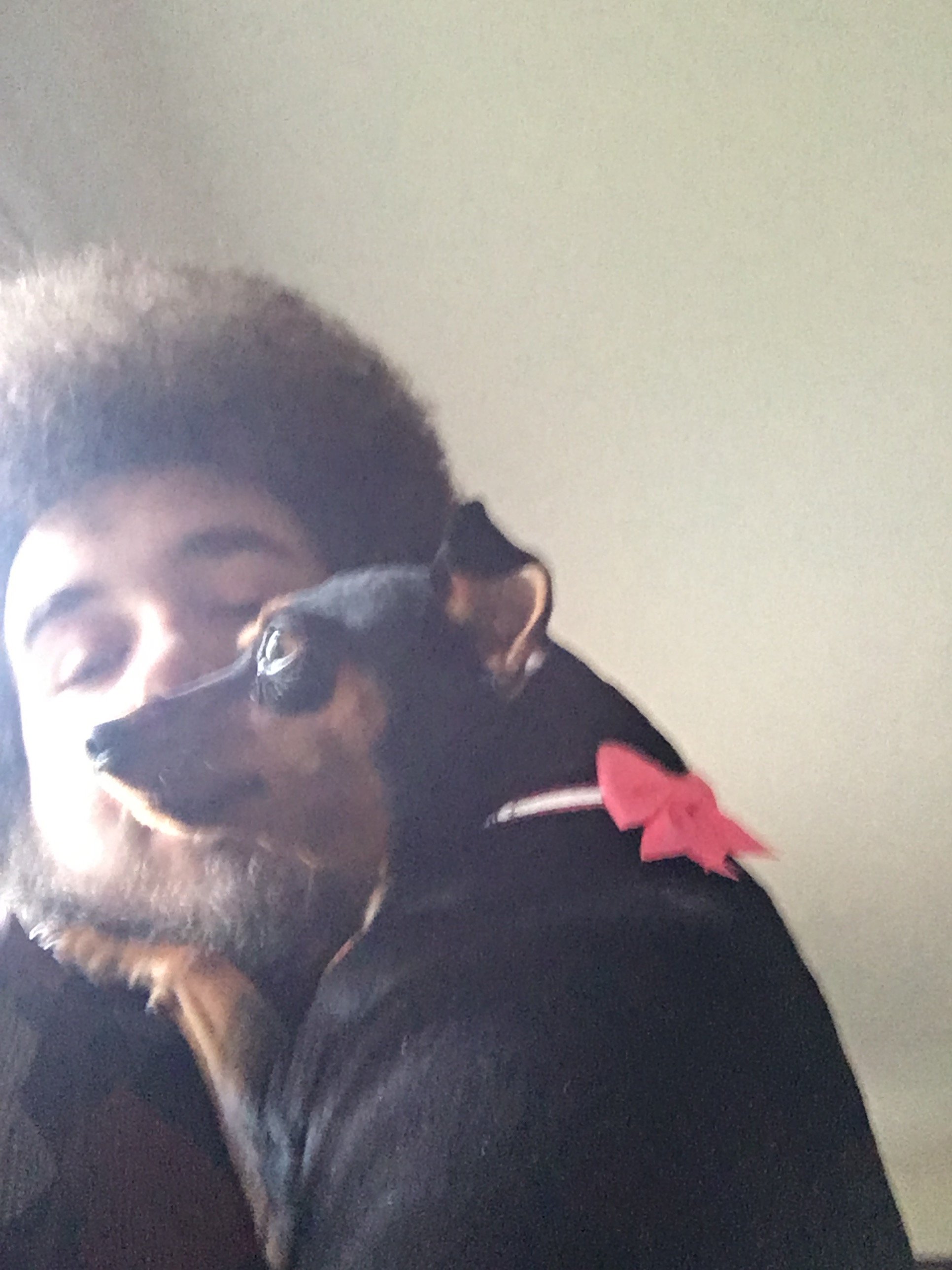 RayClutch's profile picture. 