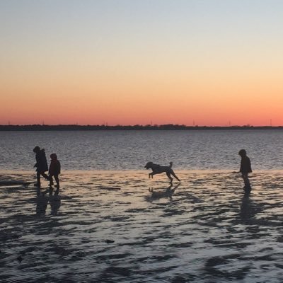 KellyMM75's profile picture. #resist