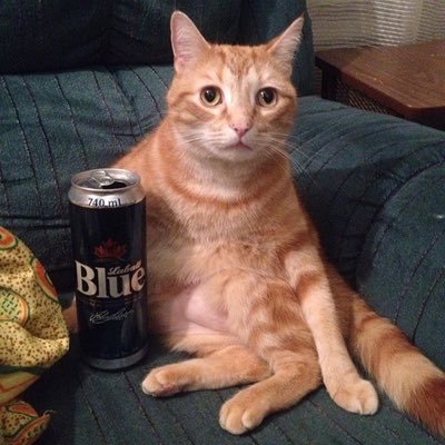 a_knee_sherry's profile picture. red wine, bad grrrl. she/her