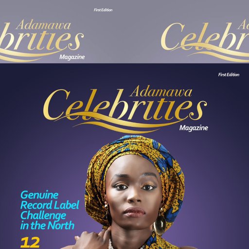 We Bring You Tweets and links  About The Latest Trends, News, & Current Affairs Within Adamawa State and  beyond. 

 info@adamawacelebrities.com
08051600130
