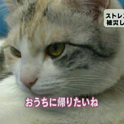 おうち帰りたい人 Seiya Ksyk Twitter おうち帰りたい人 Seiya Ksyk Twitter
