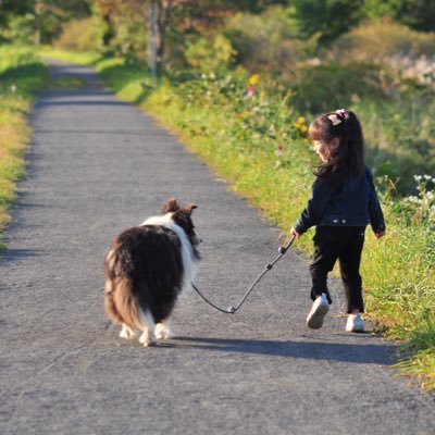 kida_hiroyuki's profile picture. 北海道在住です。宜しくお願いします。