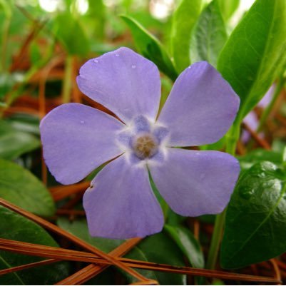 Rories553's profile picture. 