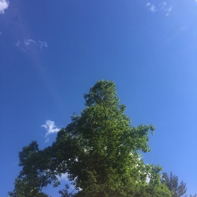 elizalynneeeee's profile picture. 