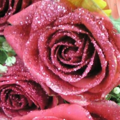 kariannz1992's profile picture. 