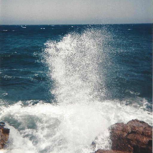 tyzefgame's profile picture. 