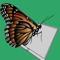 ButterflyDevelop🇩🇪 (@butterflydevelo) 's Twitter Profile