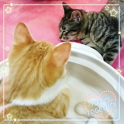 まあ