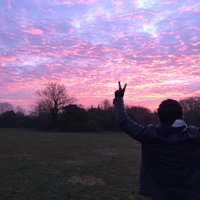 Marlek al-Habib (@marlekalexander) 's Twitter Profile