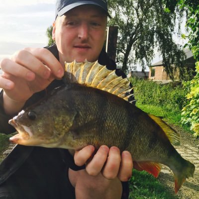 Predator fishing around the UK canals and rivers.