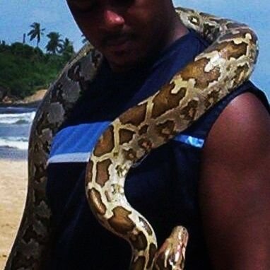 Prycelesexotics's profile picture. Traveler nature wildlife enthusiast Importer exporter breeder wholesale exotic animals