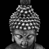 _dharmalog (@dharmalog) 's Twitter Profile