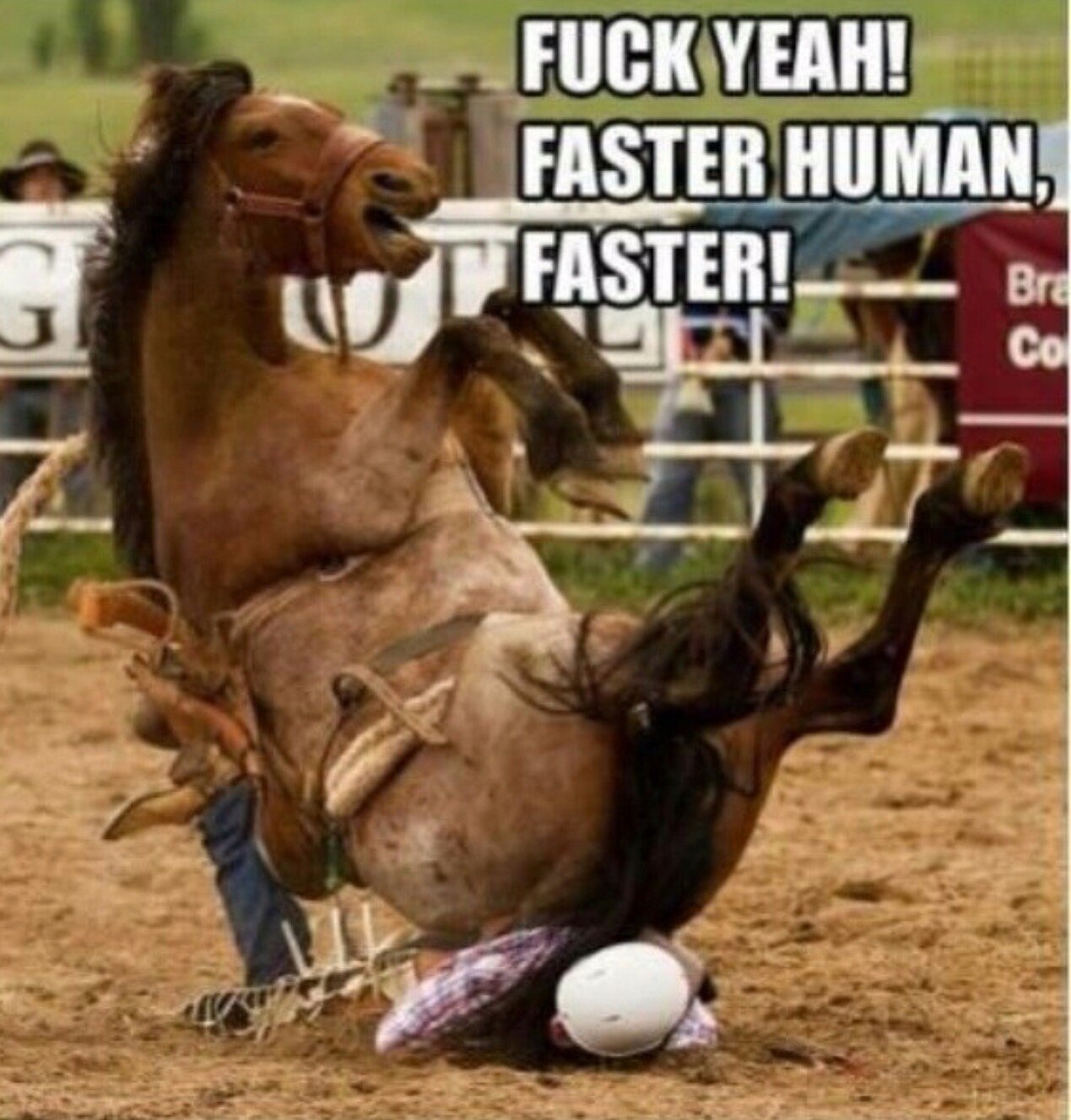 Onlyheretobet13's profile picture. 