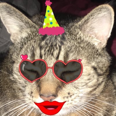 Somewhat PURRverted clown. I love Hisstory, Pawlitics & Mewsic. 'Nip-head, nap addict & food hog. šøCat admirers & feline furriends welcome! ā¤ļøhashtag gamerā¤ļøš