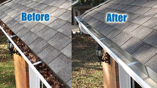 Professional Gutter Cleaning Company , also specializing in fascia and soffit cleaning