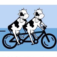 Abingdon YFC T2T (@tandem2torquay) 's Twitter Profile Photo Abingdon YFC T2T (@tandem2torquay) 's Twitter Profile Photo