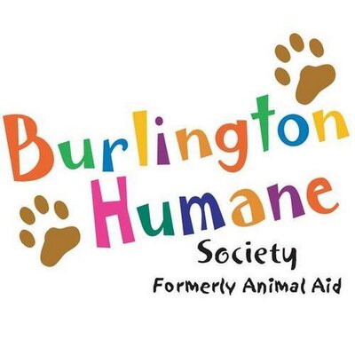 Burlington Humane Society (@BurlHumane) / Twitter Burlington Humane Society (@BurlHumane) / Twitter