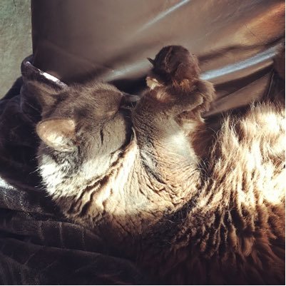 ReeO603's profile picture. 