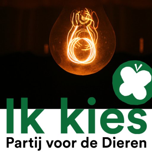 jaccodekraker's profile picture. Testspecialist. Lezer. Kijker. Vegetariër. Muziekliefhebber. Analoog fotograaf. Mens. In willekeurige volgorde. Vind me op bluesky, op X houd ik het voor gezien