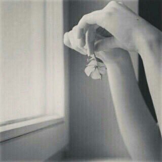 Goory059's profile picture. آنا فَتآة آُبعْثر حُروفّي كَ ذَوقْ فَقطْ ، ، لا آقصد آحَدا ..