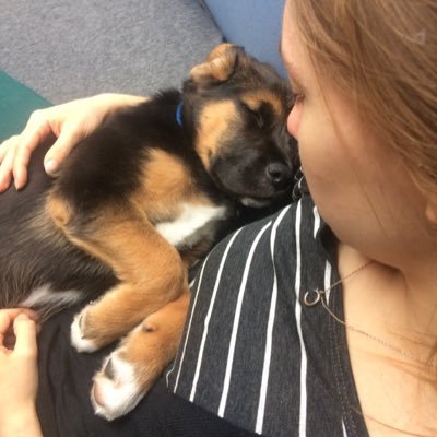 Get Haengen vergangenheit For Android Free Haengen Vergangenheit