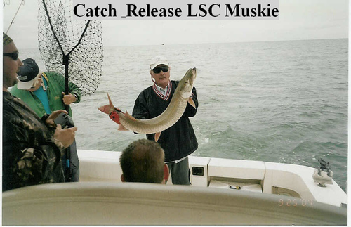 silverinfo's profile picture. Involved in affilate marketing, private membership sites and eaning gold coins and silver bullion. Using self care products by Amega Global.