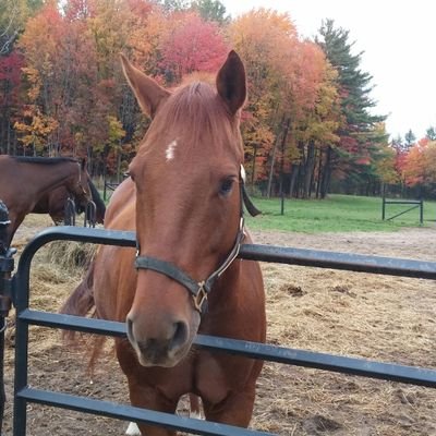 LynneRooney6's profile picture. 