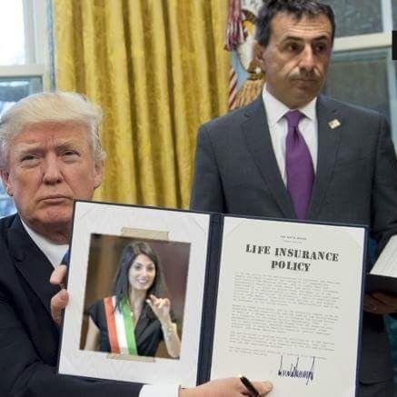 baldib1's profile picture. 