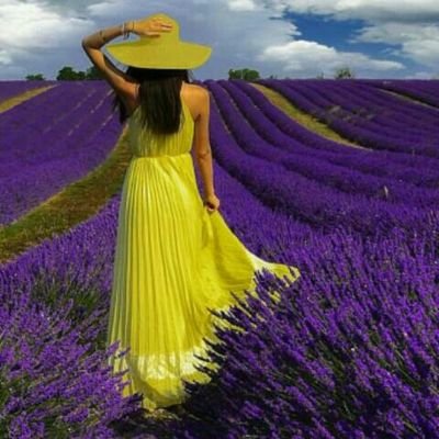 SahinaKhatun8's profile picture. students