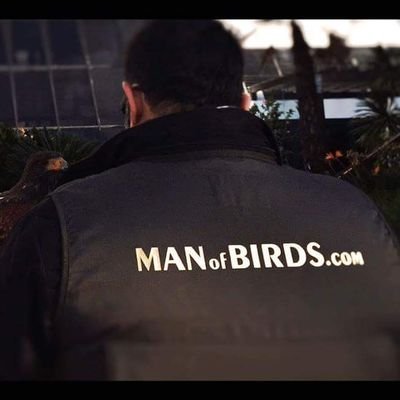 ManOfBirdsPt's profile picture. Somos una empresa especializada em controle de aves invasoras, Birdcontrol. Se tem problemas com gaivotas, pombos e ou outras aves contacte nos. geral@manofbird