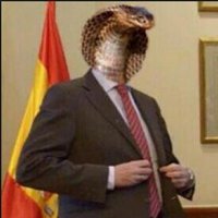 Stodi (@stodi_rbx) 's Twitter Profile