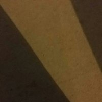 فحل الجنوب (@ma2906122) 's Twitter Profile