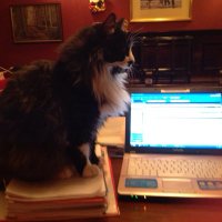 DoctorOpinion (@wussydoc) 's Twitter Profile Photo DoctorOpinion (@wussydoc) 's Twitter Profile Photo