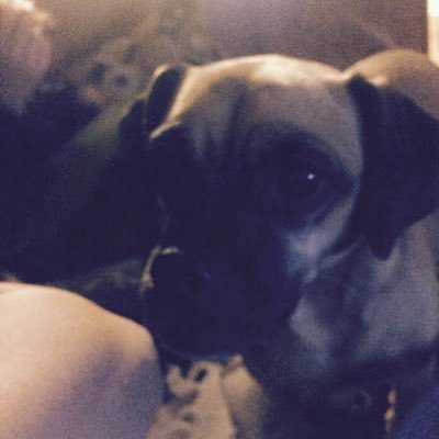 sedes13's profile picture. Make my dreams come true¢~**