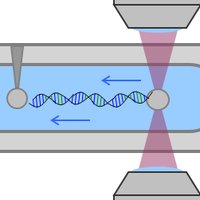 Williams Lab (@williamslabneu) 's Twitter Profile Photo Williams Lab (@williamslabneu) 's Twitter Profile Photo