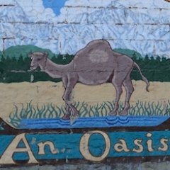 iziartemisa's profile picture. Perennial claircognizant, tonic, antiparasitic by wayside. See Money, Micro-Expressions, Body Lang, & Systems. RT not endorsement. #PlasticFree #DVSurvivor