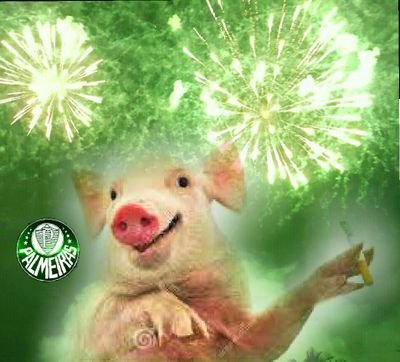 Porquinho_SEP's profile picture. palmeiras