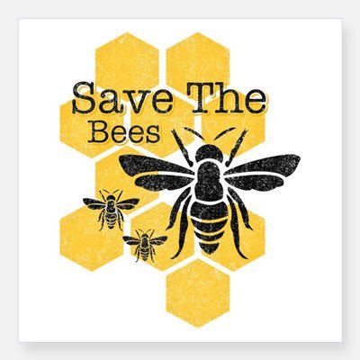 hi all! Earth's bee population is declining rapidly - please decrease use of pesticides, plant bee friendly flowers, and SPREAD THE WORD to help save the bees!