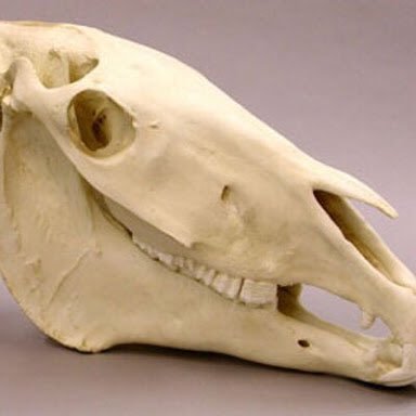 bacotu852's profile picture. 不要忘记六四天安門事件