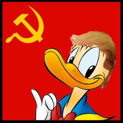 dadonalddump's profile picture. Tweeter of all facts. Putin enthusiast. Hater of the poor, women who aren't hot, minorities, and basically anyone who isn't a white male tycoon. You're welcome
