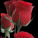 11moon_11 (@11moon_11) Twitter