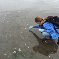 Enviro Scientist 20 yrs, worked w/ Tribes in WA, AK, & CO. Personal Trainer. NM Off Grid Homesteader to be. Worm Farmer. Snowboarder. Coop Biz. Regenerative Ag.
