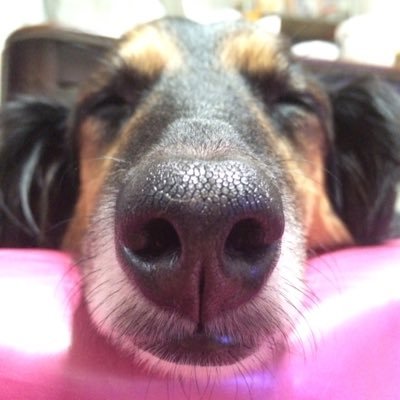 のぎさんのプロフィール画像