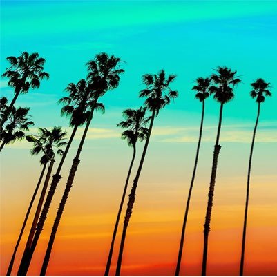 adventures9021's profile picture. 