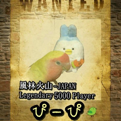 p7eVfyBJuiGK832's profile picture.